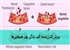 ورزش کنترل‌شده؛ کلید زندگی بهتر هموفیلی‌ها