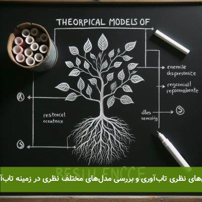 مدل‌های نظری تاب‌آوری و بررسی مدل‌های مختلف نظری در زمینه تاب‌آوری 