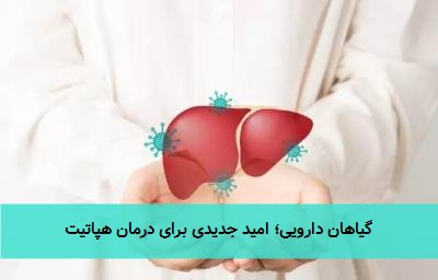  گیاهان دارویی؛ امید جدیدی برای درمان هپاتیت 